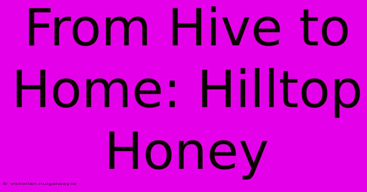 From Hive To Home: Hilltop Honey