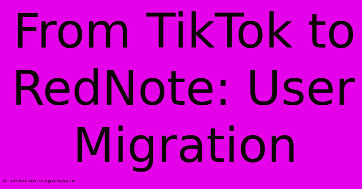 From TikTok To RedNote: User Migration