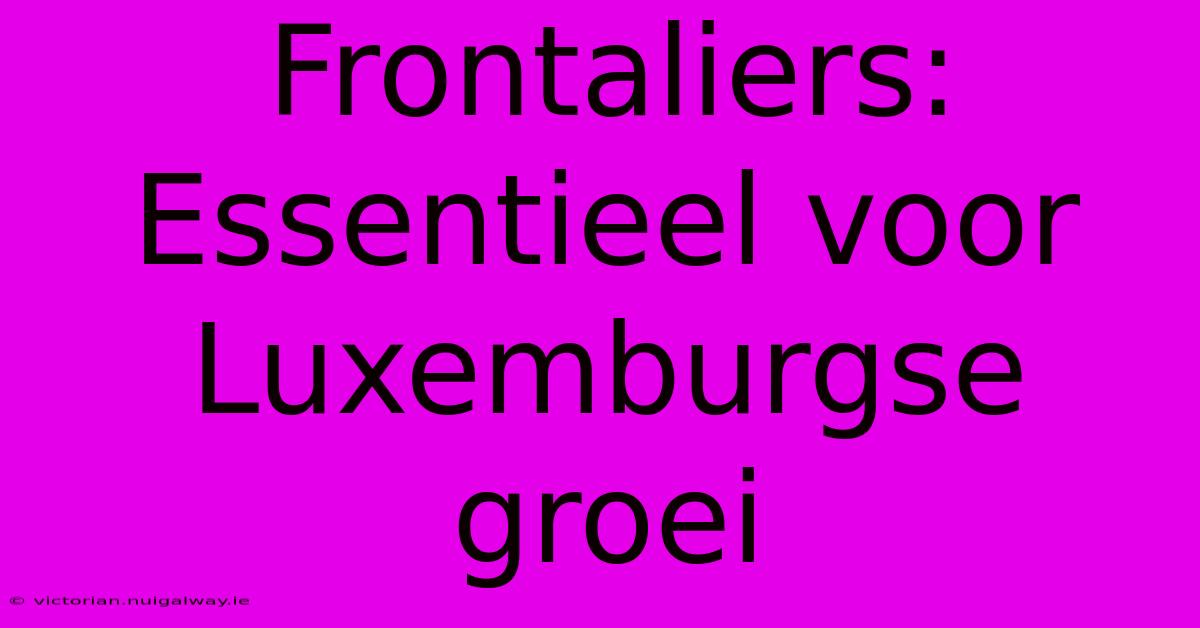 Frontaliers: Essentieel Voor Luxemburgse Groei