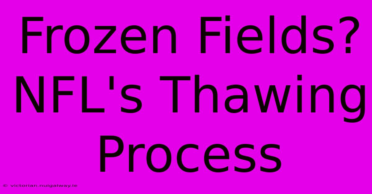 Frozen Fields? NFL's Thawing Process