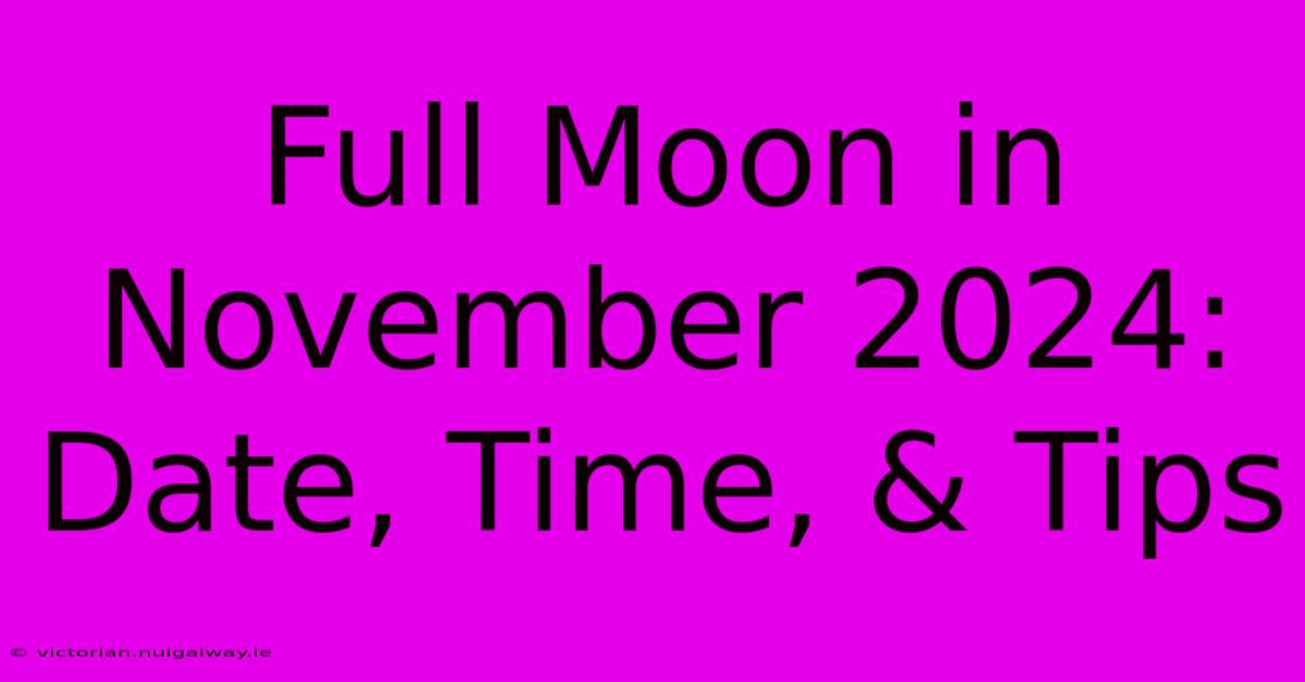 Full Moon In November 2024: Date, Time, & Tips 