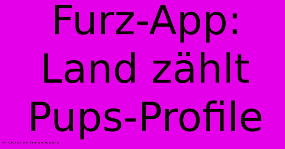 Furz-App: Land Zählt Pups-Profile