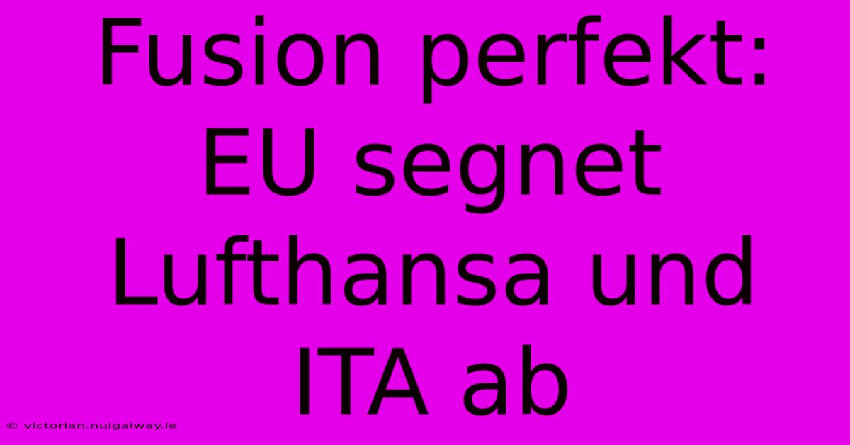 Fusion Perfekt: EU Segnet Lufthansa Und ITA Ab