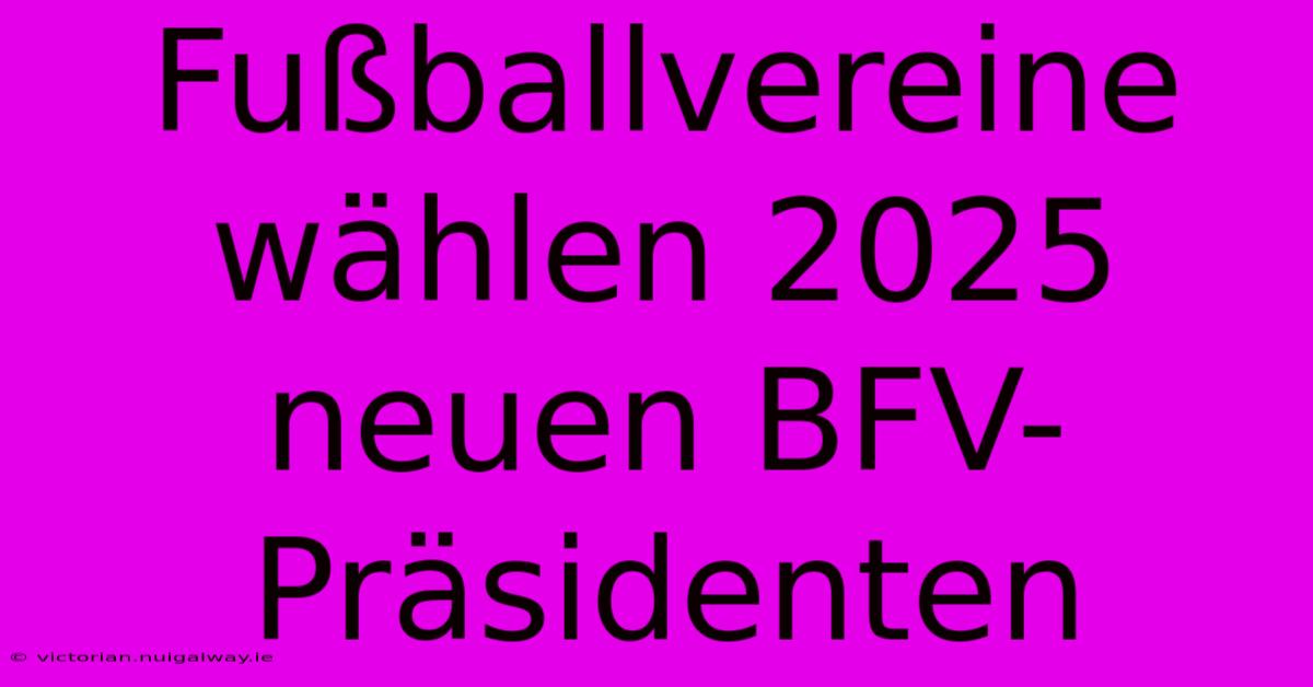 Fußballvereine Wählen 2025 Neuen BFV-Präsidenten