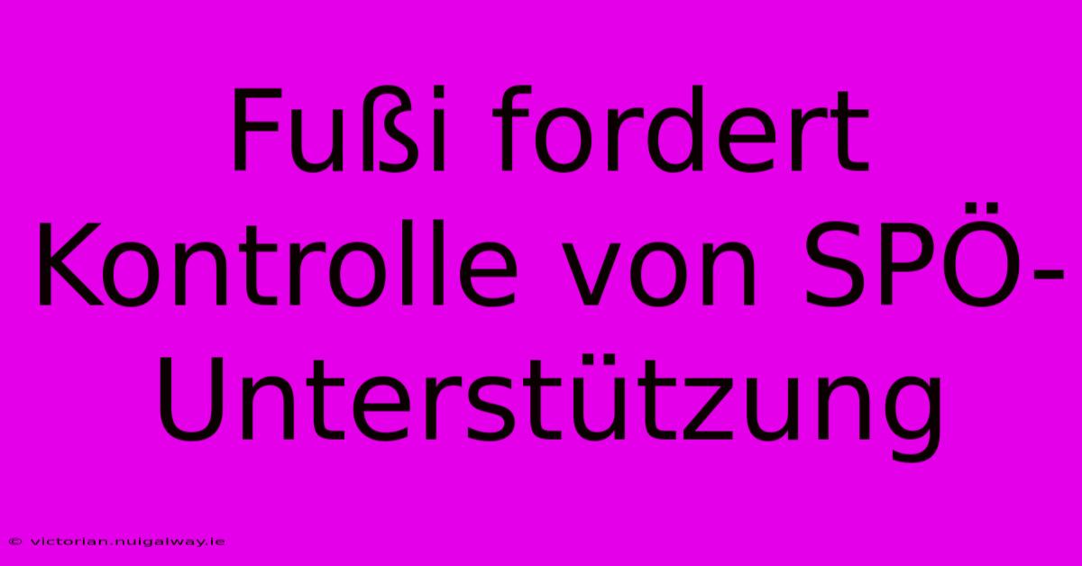 Fußi Fordert Kontrolle Von SPÖ-Unterstützung