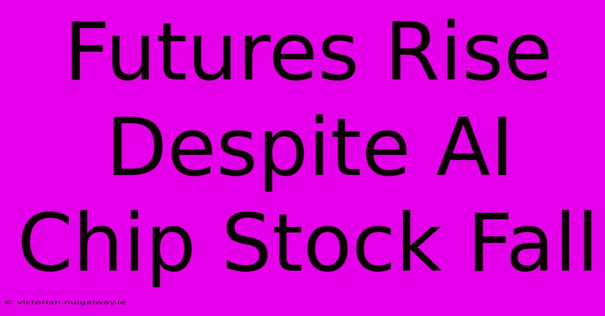 Futures Rise Despite AI Chip Stock Fall