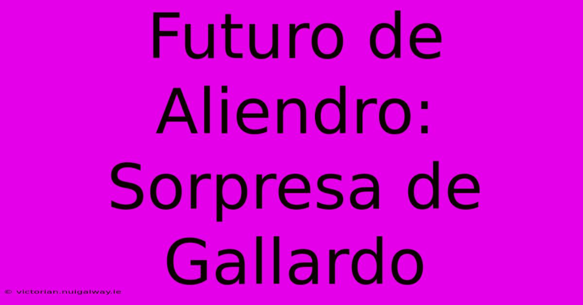 Futuro De Aliendro: Sorpresa De Gallardo