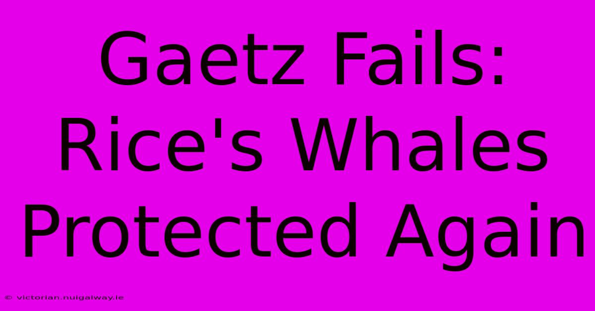 Gaetz Fails: Rice's Whales Protected Again