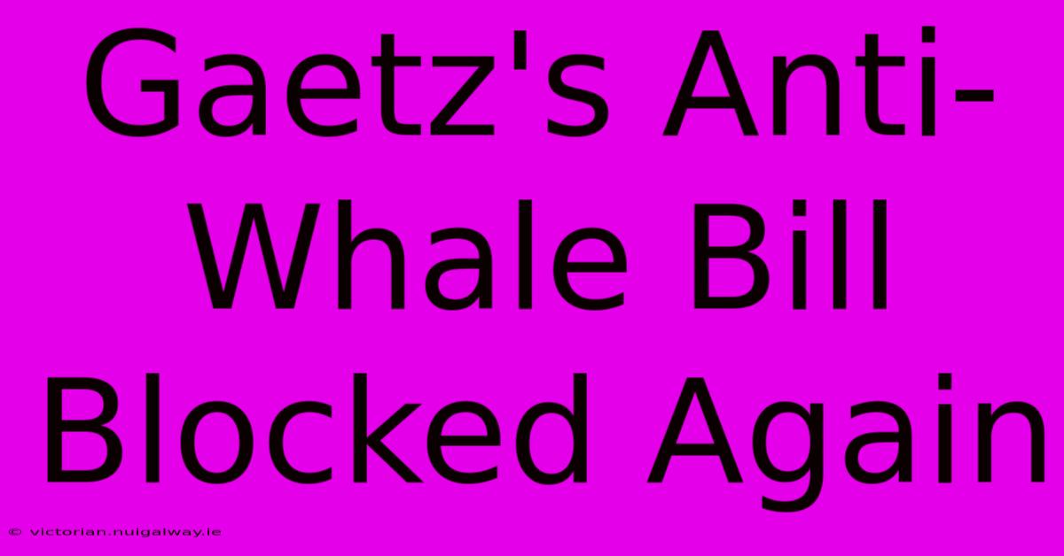 Gaetz's Anti-Whale Bill Blocked Again