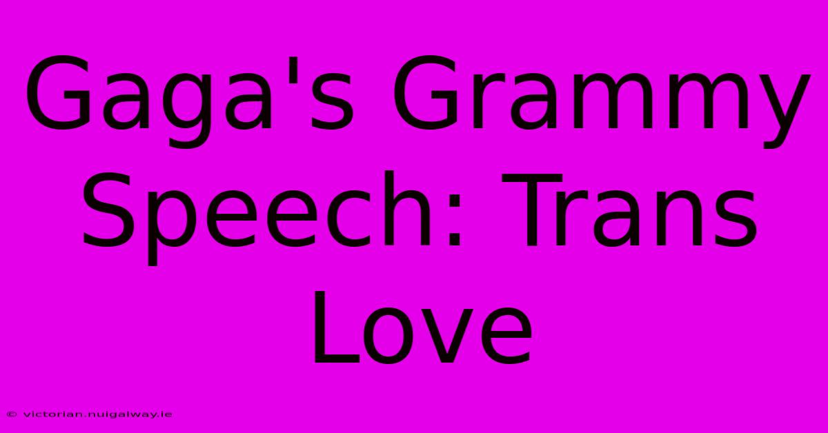 Gaga's Grammy Speech: Trans Love