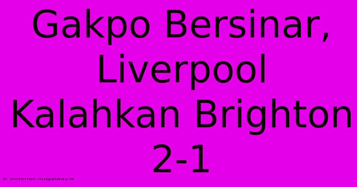 Gakpo Bersinar, Liverpool Kalahkan Brighton 2-1