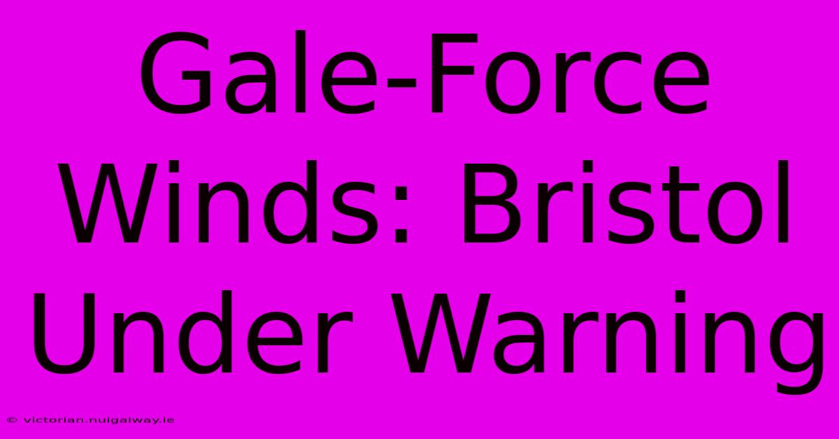 Gale-Force Winds: Bristol Under Warning