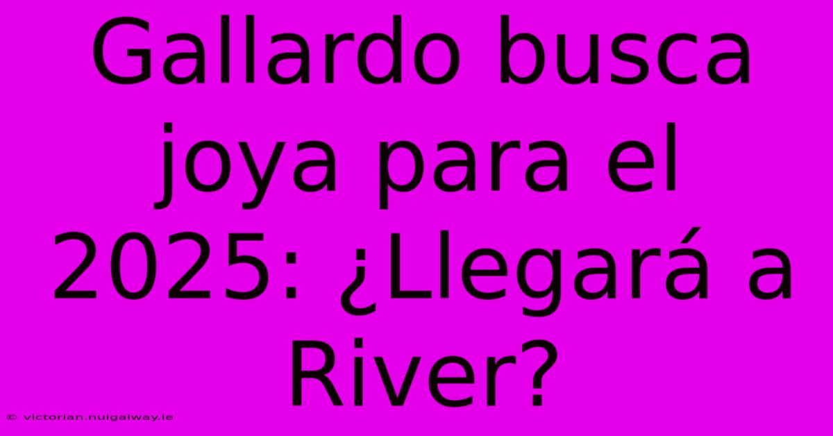 Gallardo Busca Joya Para El 2025: ¿Llegará A River?