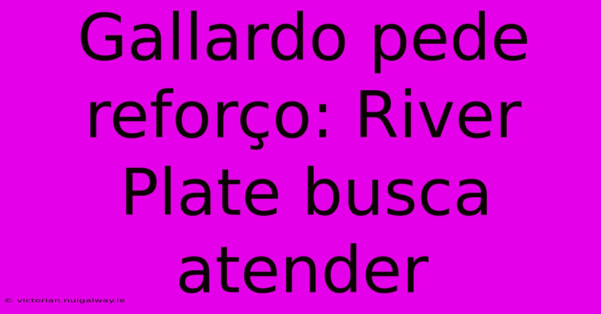 Gallardo Pede Reforço: River Plate Busca Atender