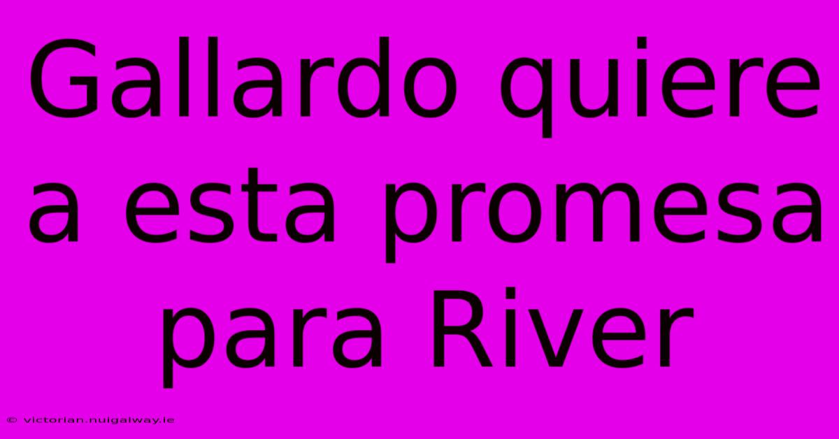 Gallardo Quiere A Esta Promesa Para River