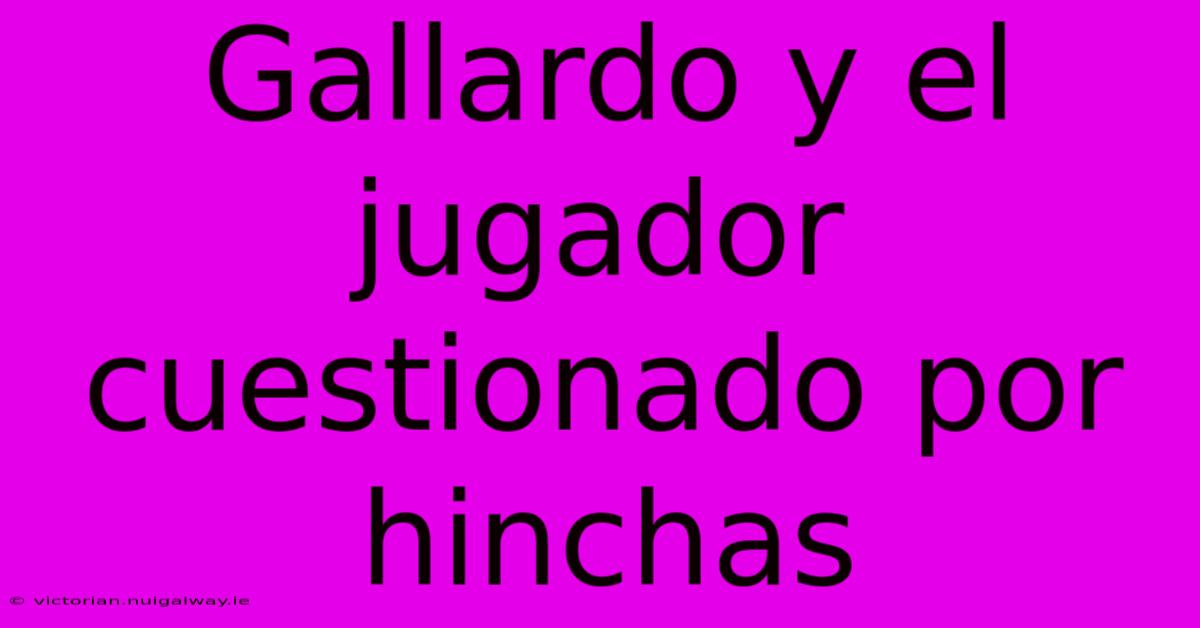 Gallardo Y El Jugador Cuestionado Por Hinchas