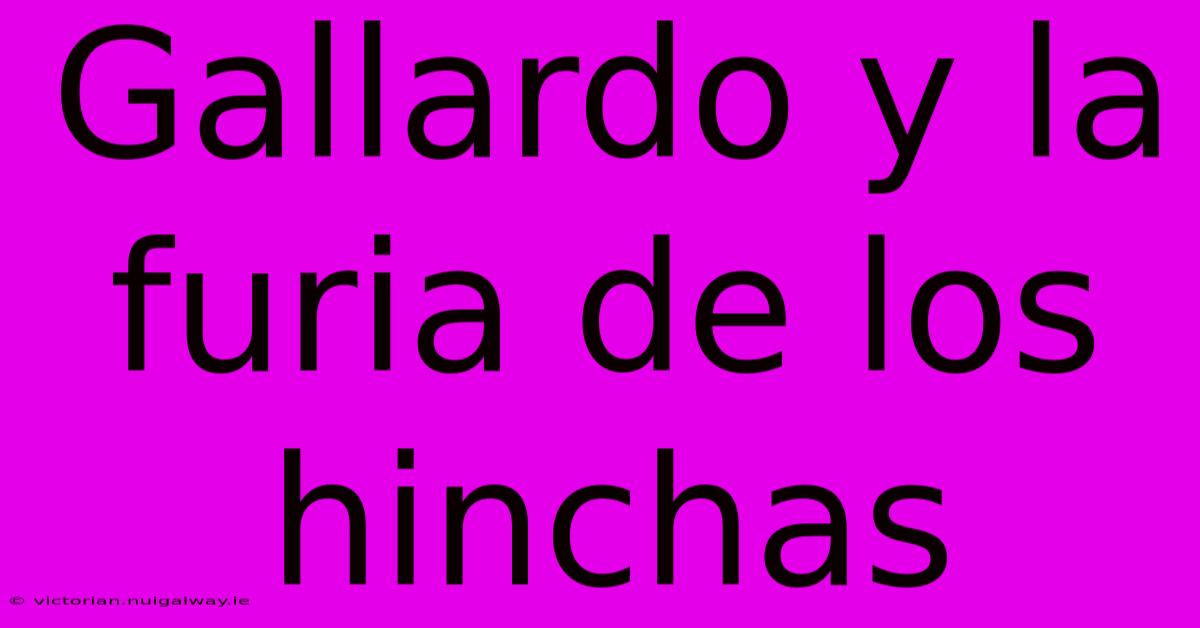 Gallardo Y La Furia De Los Hinchas