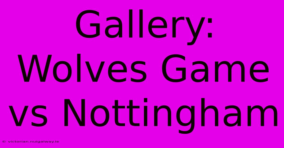 Gallery: Wolves Game Vs Nottingham