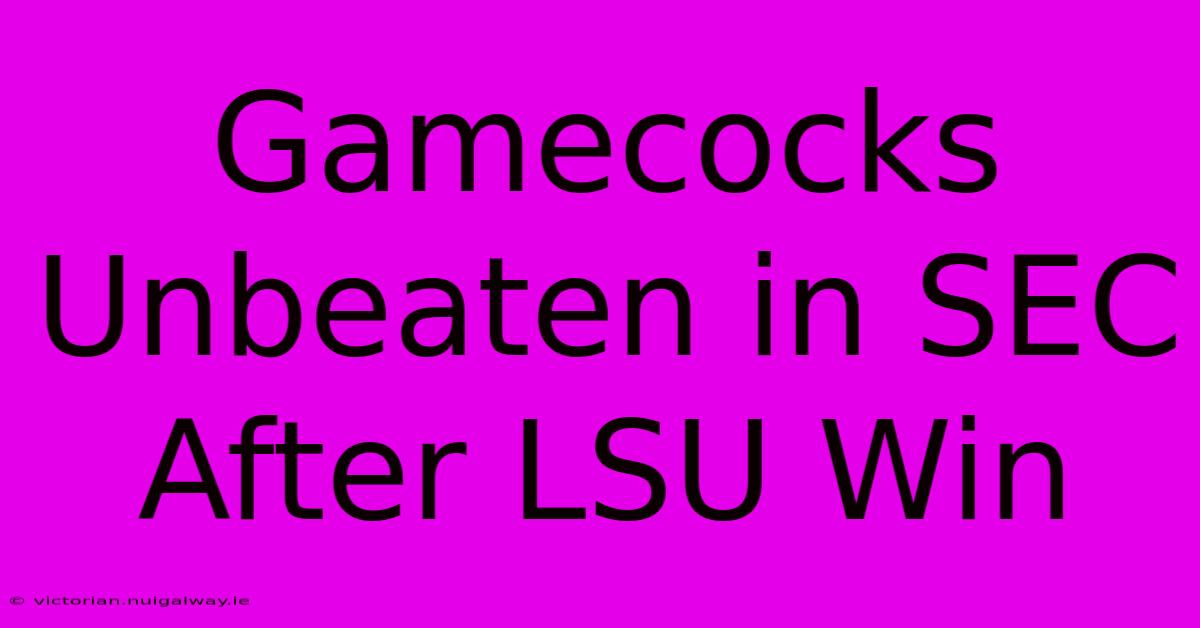 Gamecocks Unbeaten In SEC After LSU Win