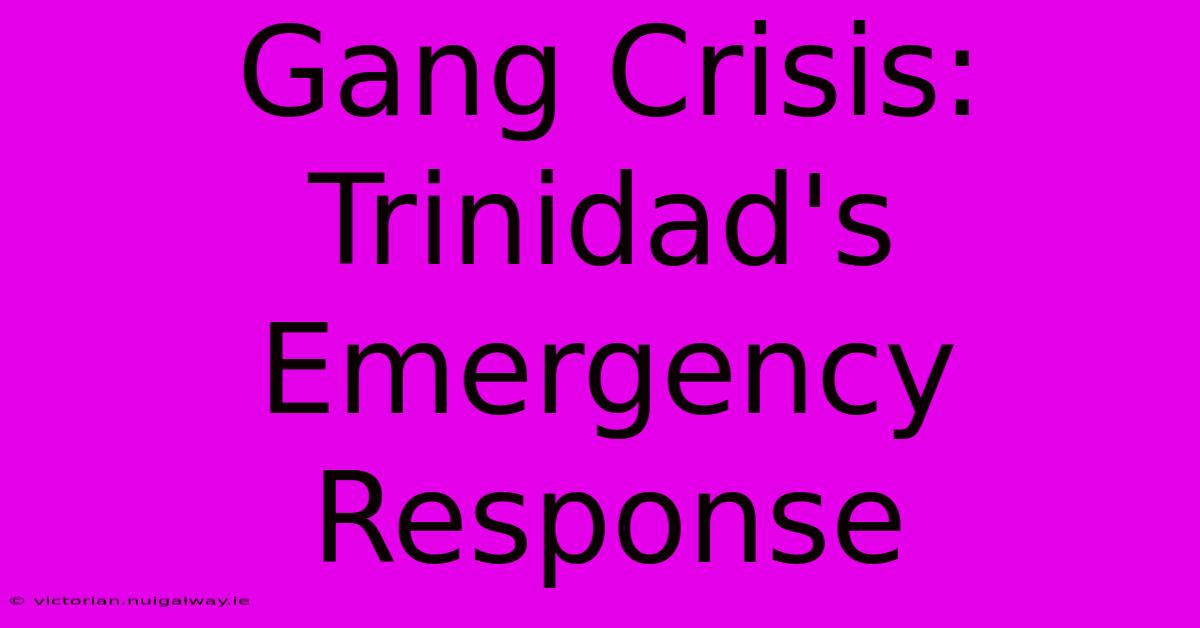 Gang Crisis: Trinidad's Emergency Response