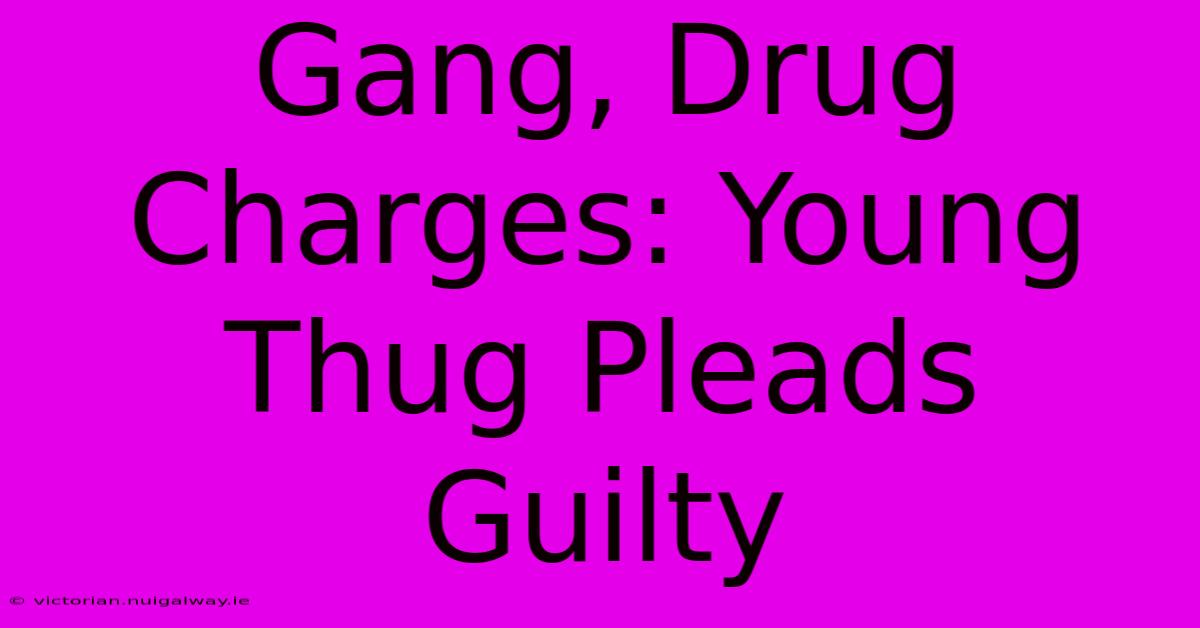 Gang, Drug Charges: Young Thug Pleads Guilty