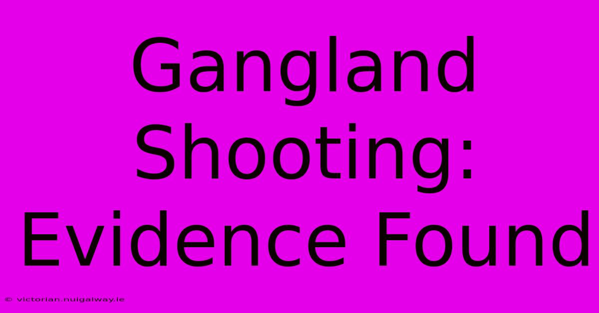 Gangland Shooting: Evidence Found