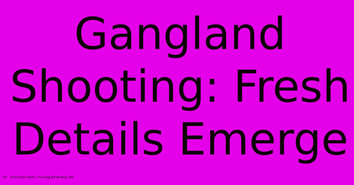 Gangland Shooting: Fresh Details Emerge