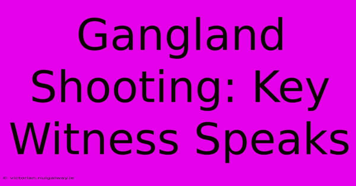 Gangland Shooting: Key Witness Speaks