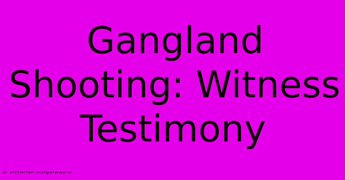 Gangland Shooting: Witness Testimony