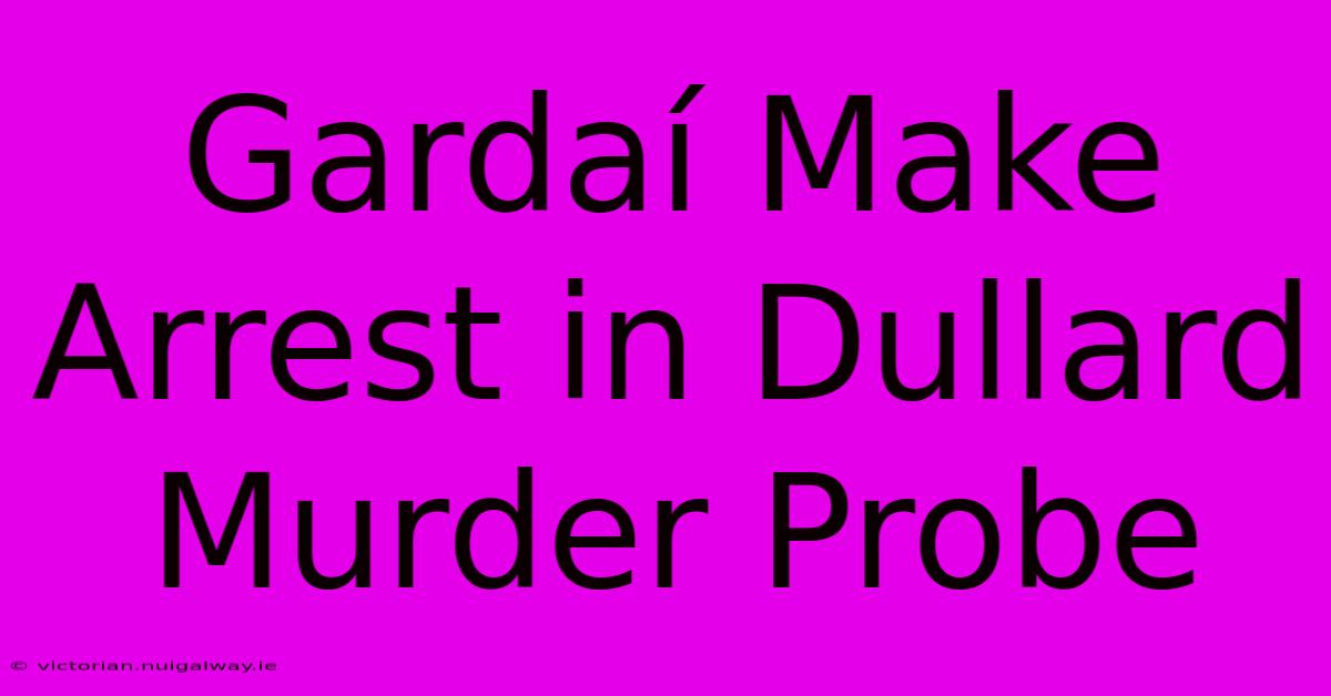 Gardaí Make Arrest In Dullard Murder Probe 