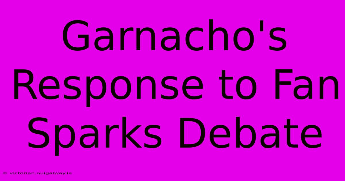 Garnacho's Response To Fan Sparks Debate 