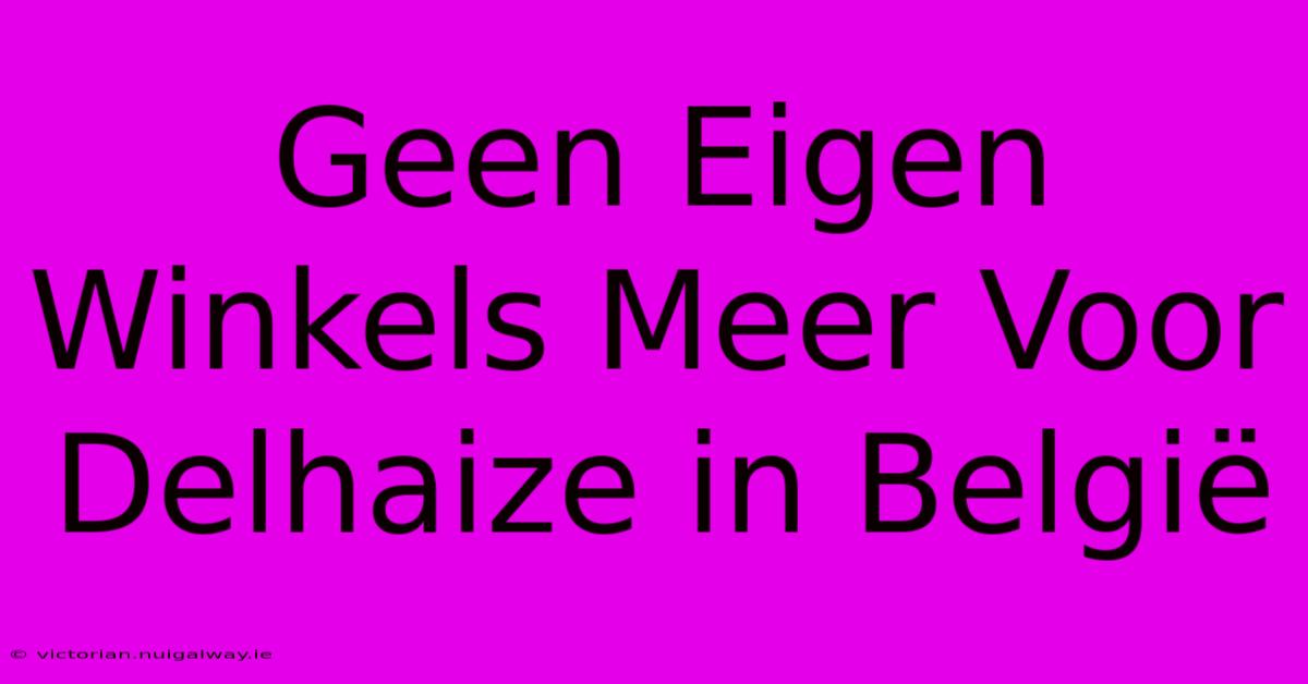 Geen Eigen Winkels Meer Voor Delhaize In België