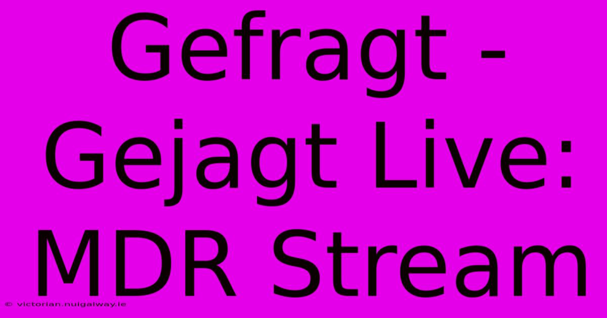 Gefragt - Gejagt Live: MDR Stream