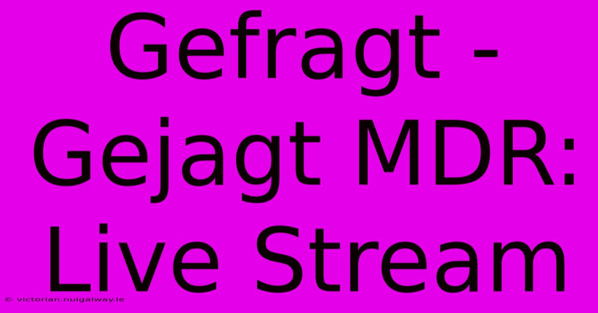 Gefragt - Gejagt MDR: Live Stream