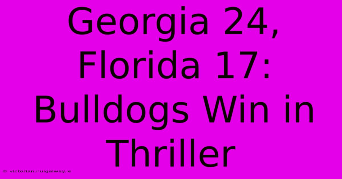 Georgia 24, Florida 17: Bulldogs Win In Thriller