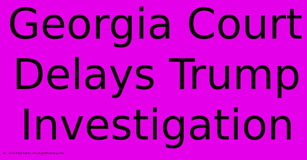 Georgia Court Delays Trump Investigation