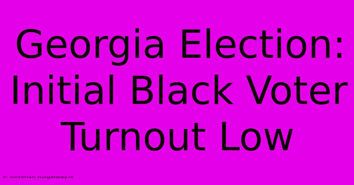 Georgia Election: Initial Black Voter Turnout Low 