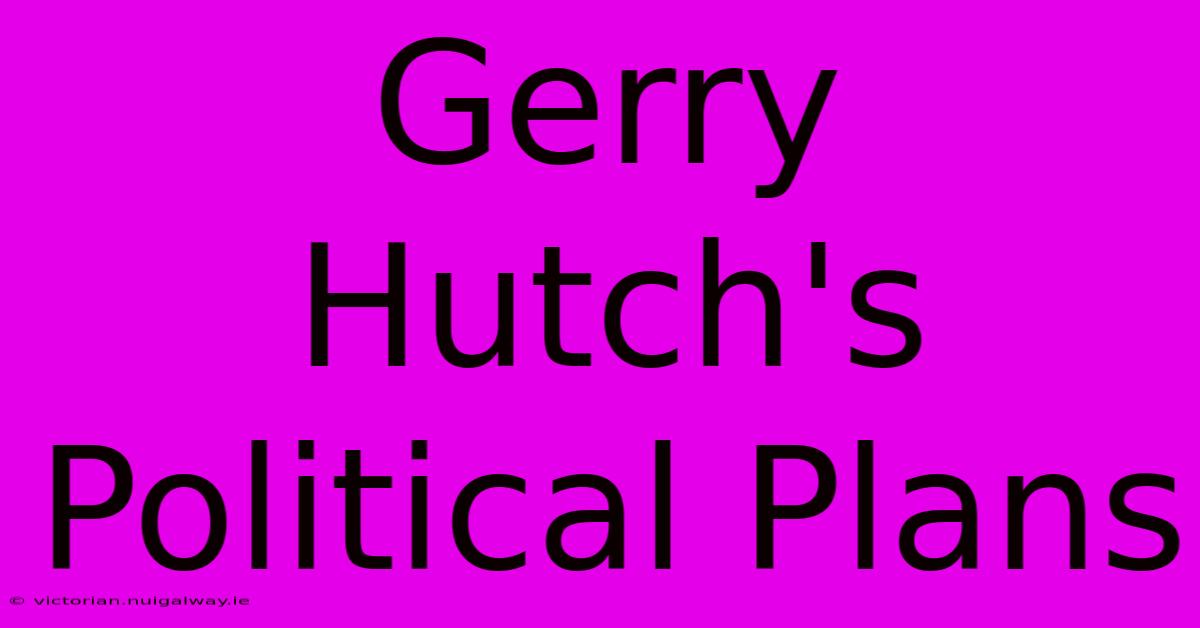 Gerry Hutch's Political Plans