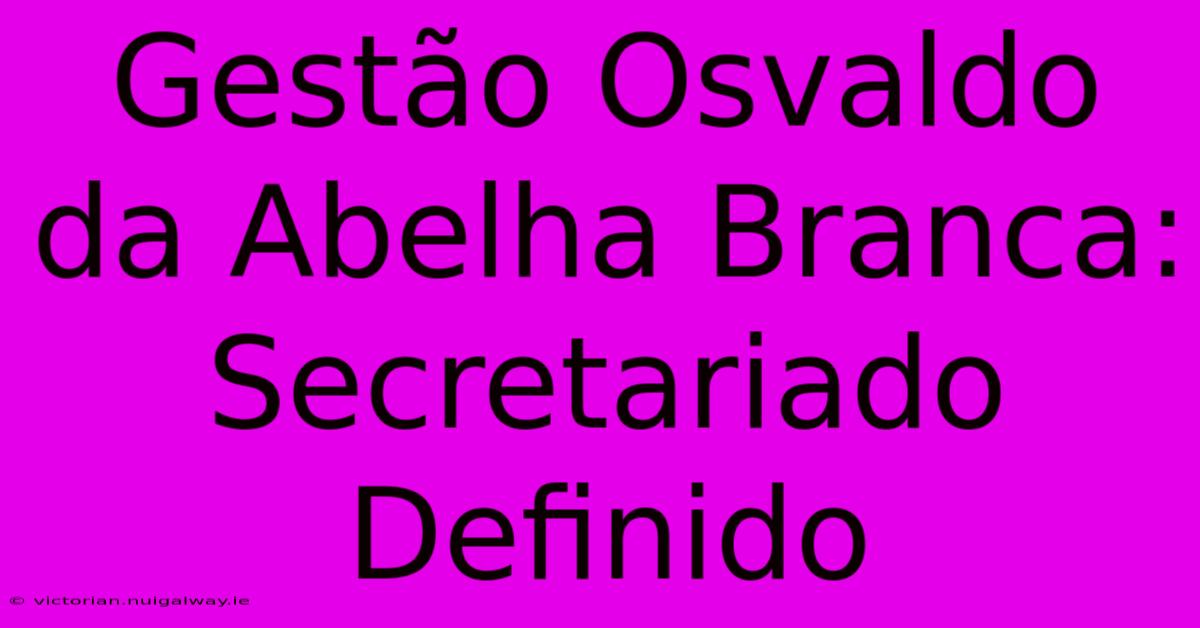 Gestão Osvaldo Da Abelha Branca: Secretariado Definido