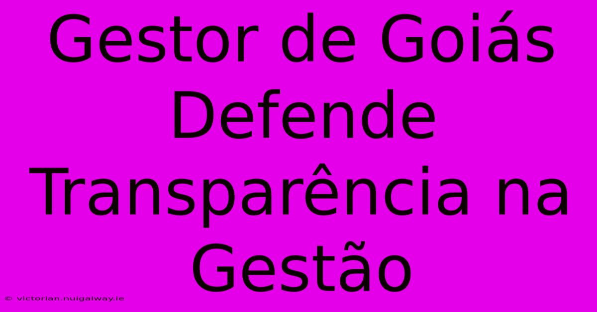 Gestor De Goiás Defende Transparência Na Gestão