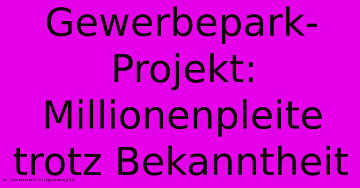 Gewerbepark-Projekt: Millionenpleite Trotz Bekanntheit