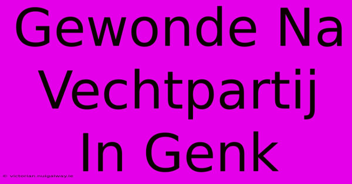 Gewonde Na Vechtpartij In Genk