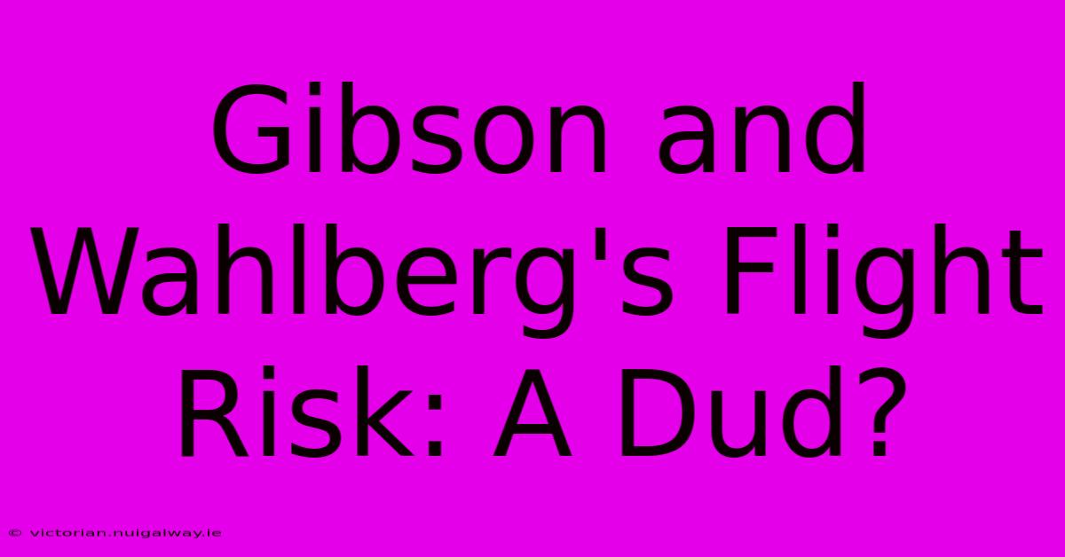 Gibson And Wahlberg's Flight Risk: A Dud?