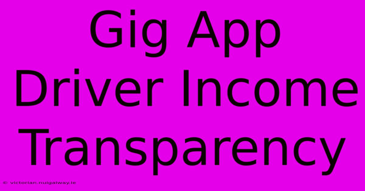 Gig App Driver Income Transparency