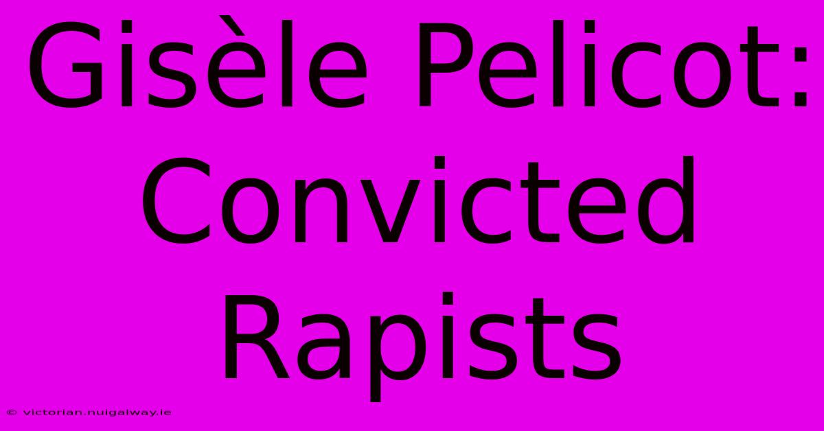 Gisèle Pelicot: Convicted Rapists