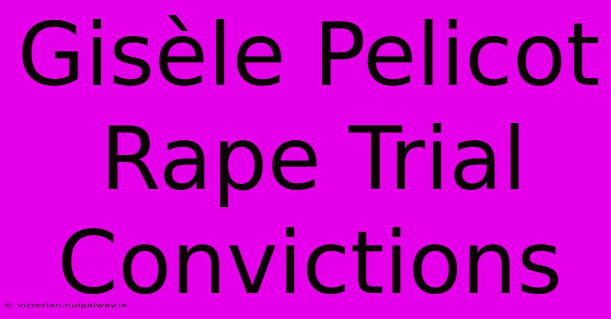 Gisèle Pelicot Rape Trial Convictions