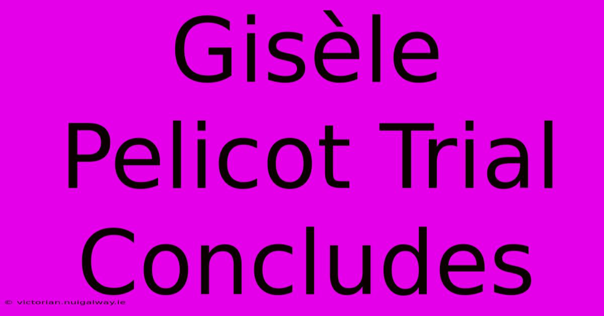 Gisèle Pelicot Trial Concludes