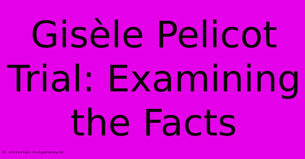 Gisèle Pelicot Trial: Examining The Facts