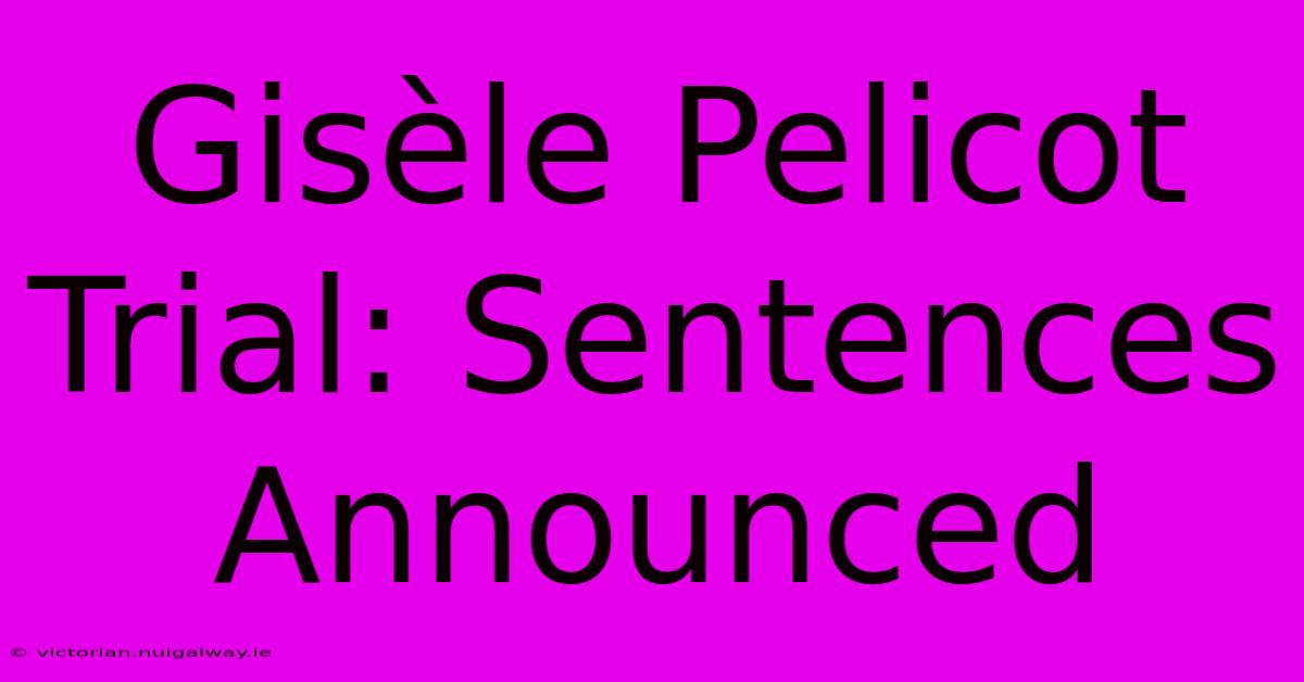 Gisèle Pelicot Trial: Sentences Announced