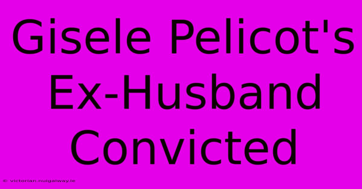 Gisele Pelicot's Ex-Husband Convicted